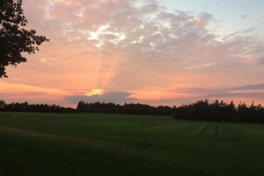 Photo of Others in Give