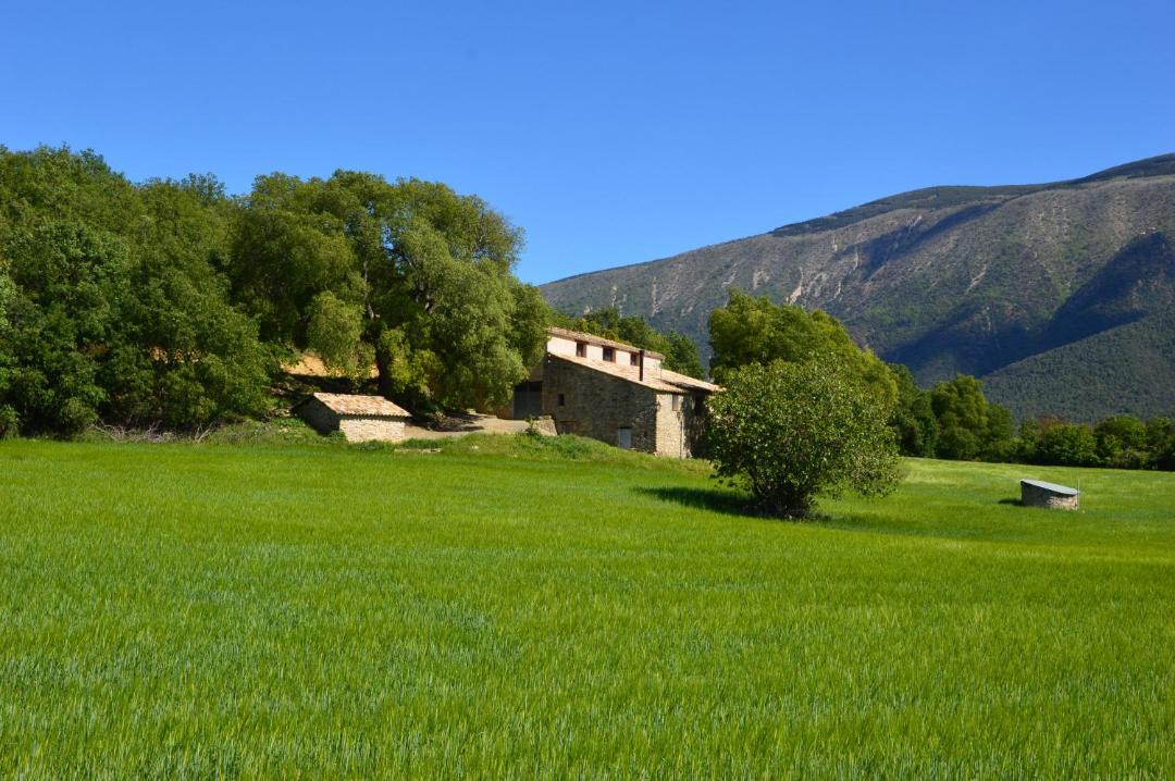 Photo of Others in Llimiana
