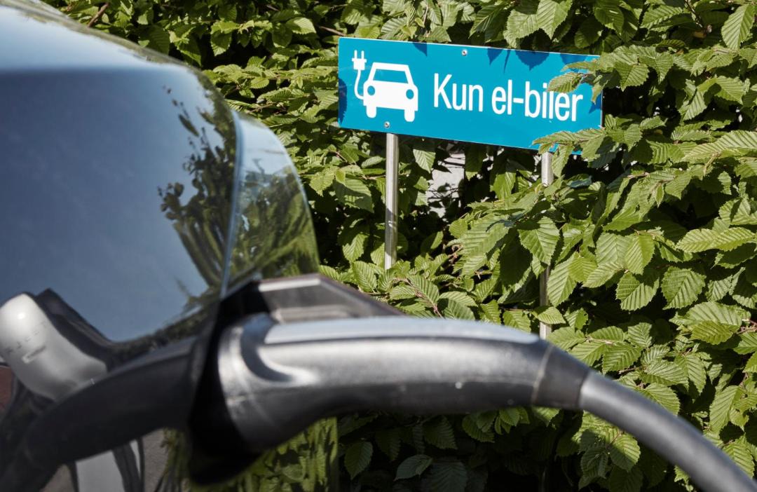 Photo of Others in Sabro