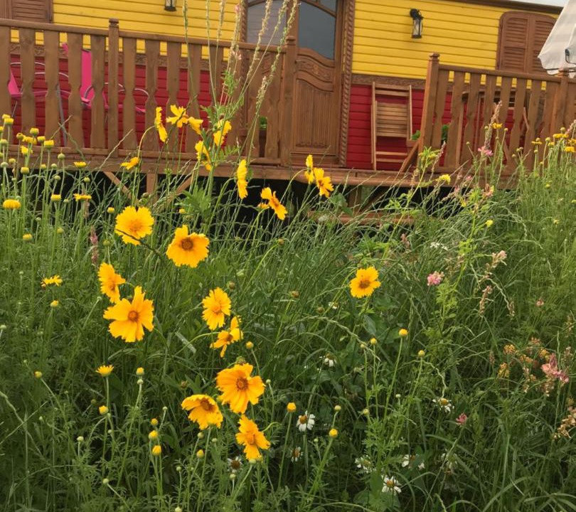 Photo of Others in Barrais-Bussolles