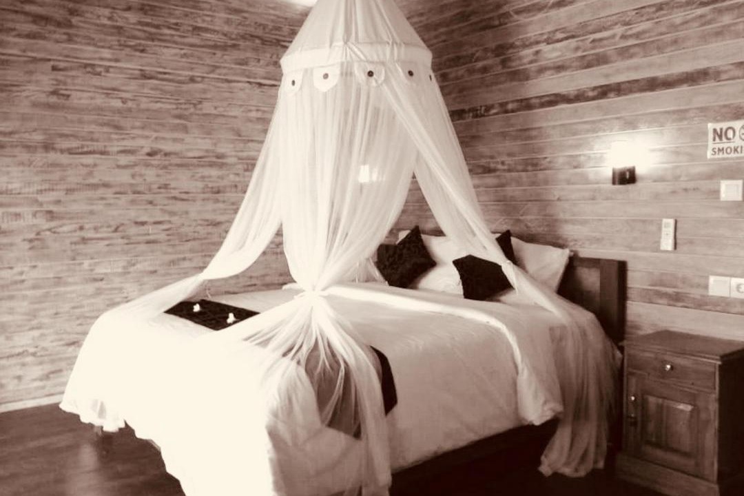 Photo of Others in Mushroom Bay