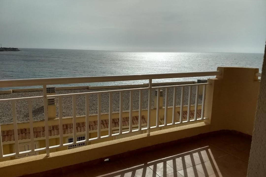Photo of Others in Dehesa de Campoamor