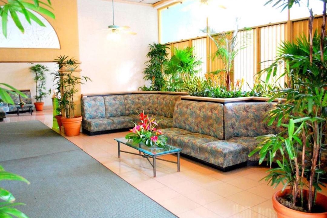 Photo of Others in Waikiki