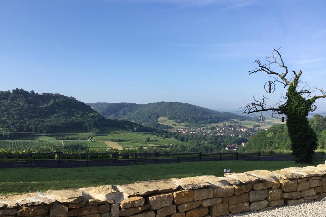 Photo of Others in Menetru-le-Vignoble