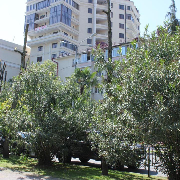 Photo of Buildings in Sochi City Centre