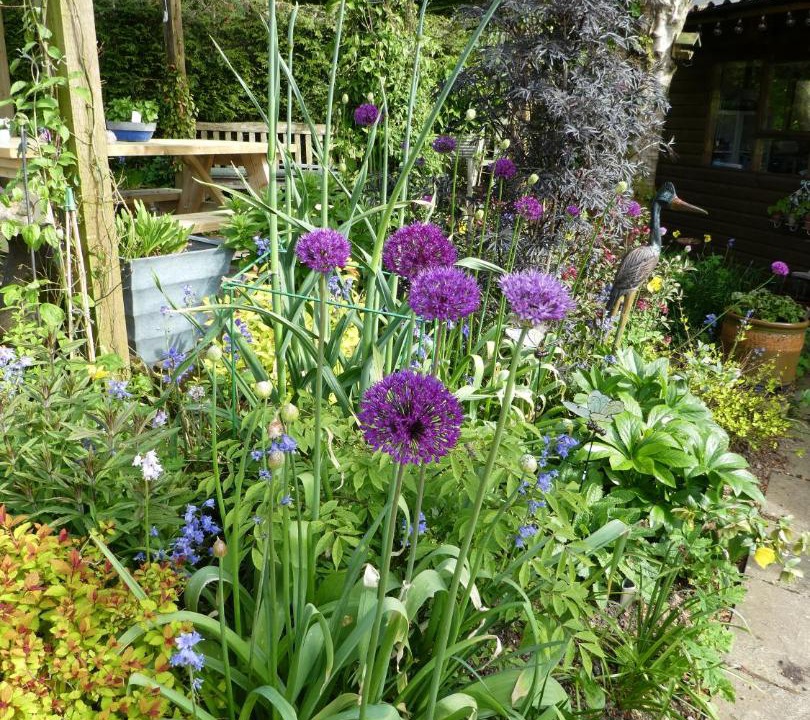 Photo of Others in Bratton Fleming