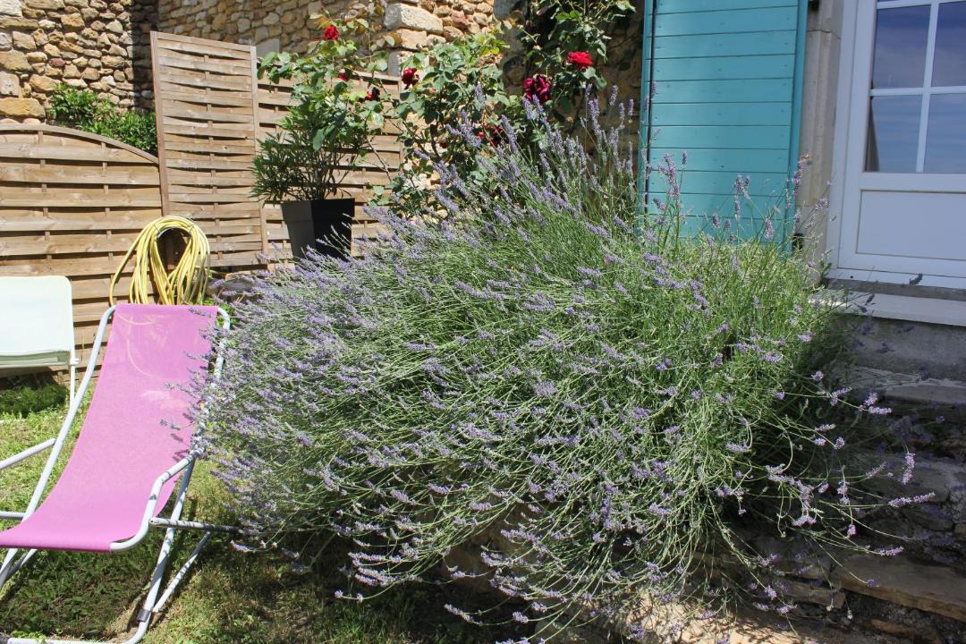 Photo of Others in Baron