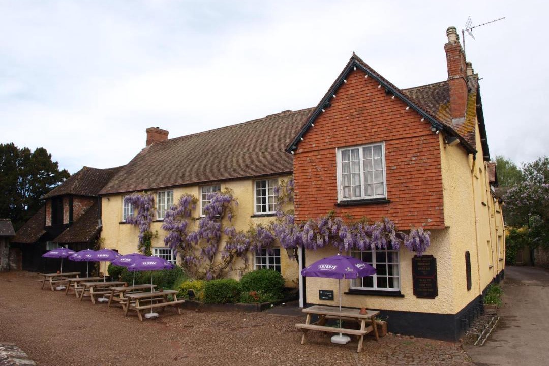 Photo of Others in Broad Clyst