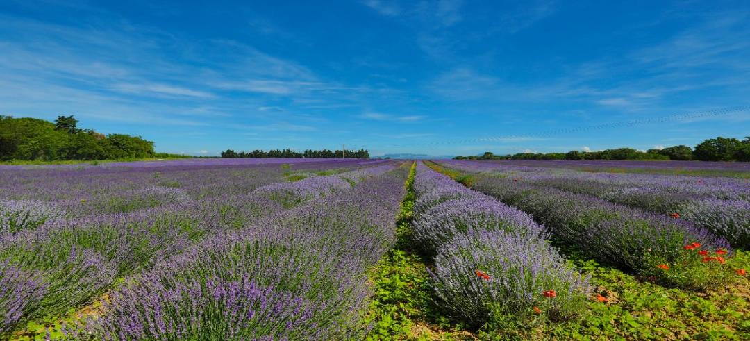 Photo of Others in Faucon