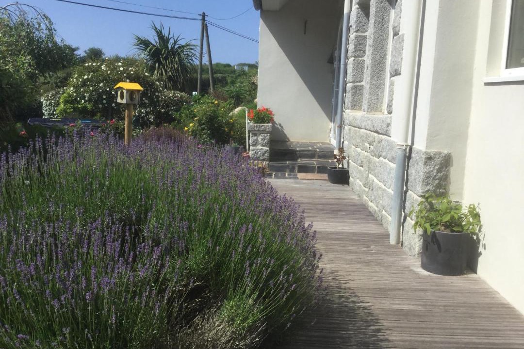 Photo of Others in Sibiril