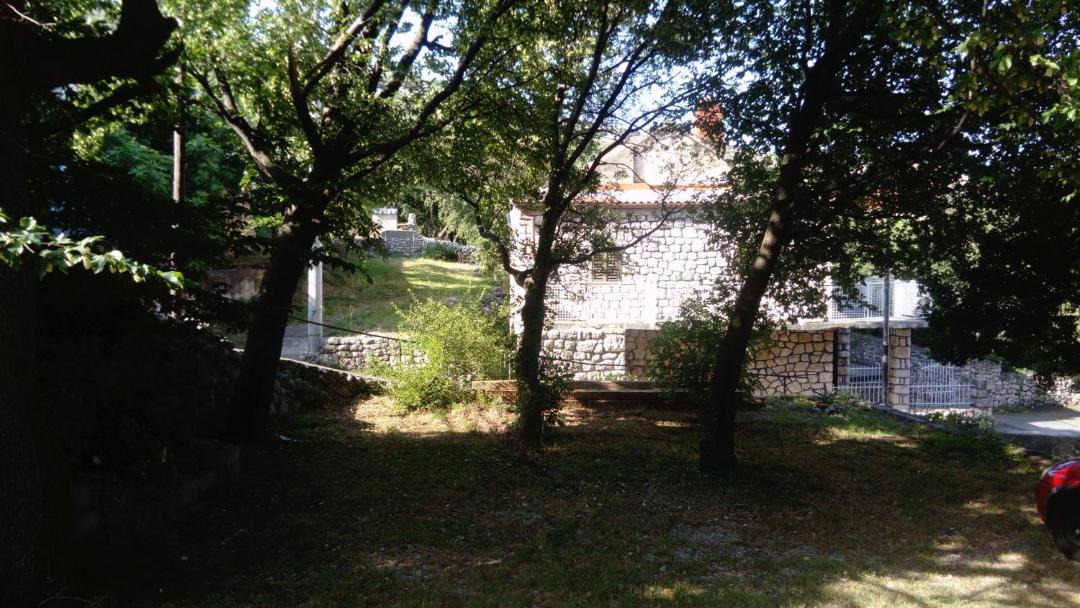 Photo of Others in Lukovo