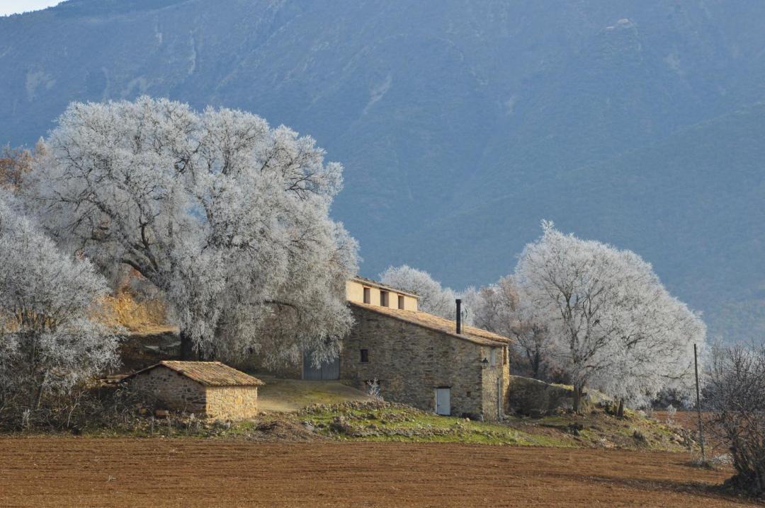 Photo of Others in Llimiana