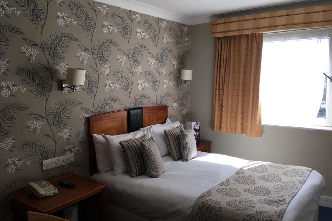 Photo of Others in Basingstoke