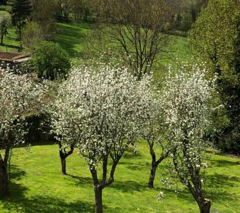 Photo of Others in Charbonnieres-les-Vieilles