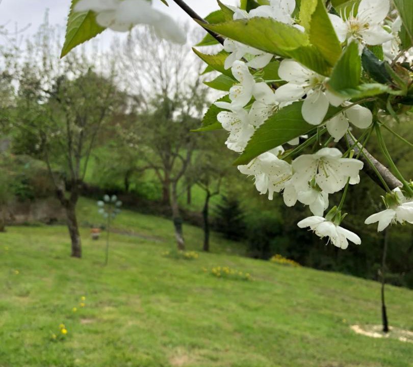 Photo of Others in Charbonnieres-les-Vieilles
