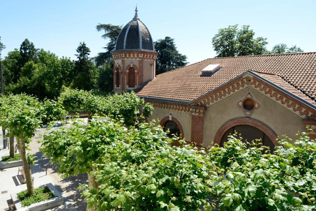 Photo of Others in Albi
