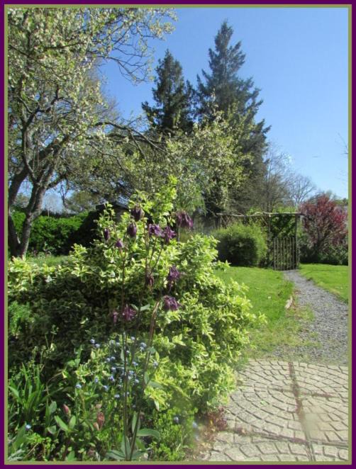 Photo of Others in Saint-Dolay