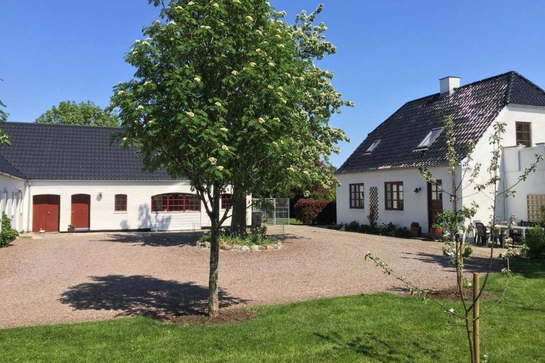 Photo of Buildings in Odder