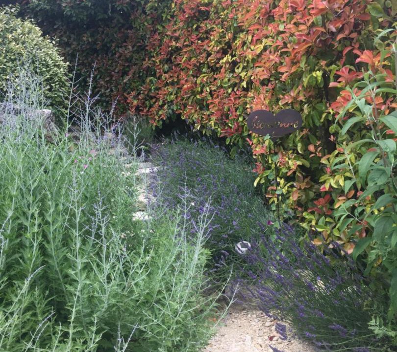 Photo of Outdoor in Murs