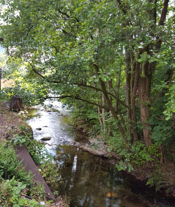 Photo of Others in Saint-Maurice-sur-Moselle