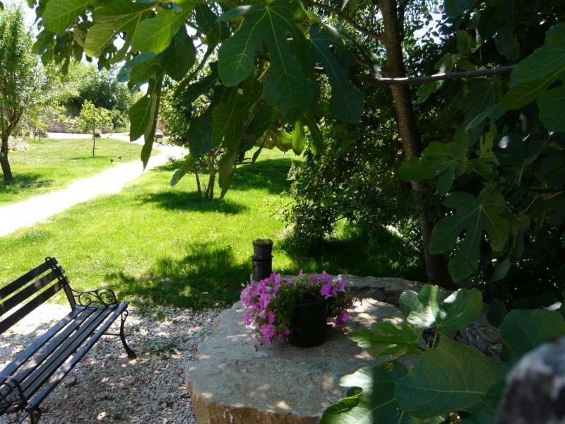 Photo of Others in Saint-Andre-d'Olerargues