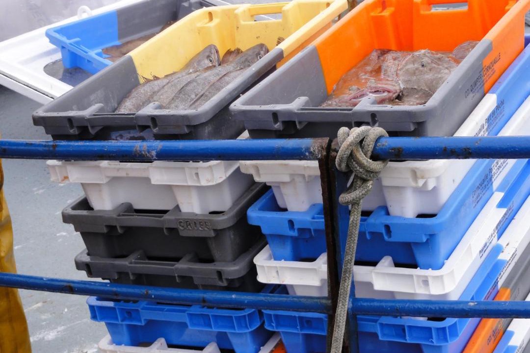 Photo of Others in Saint-Guenole