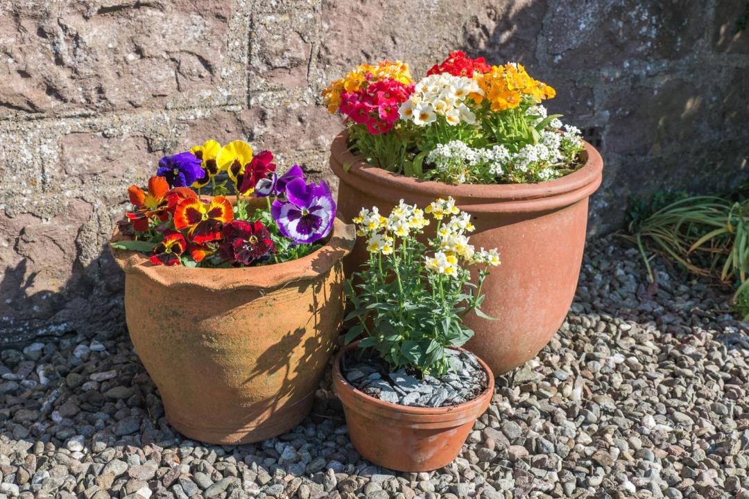 Photo of Others in Kippen