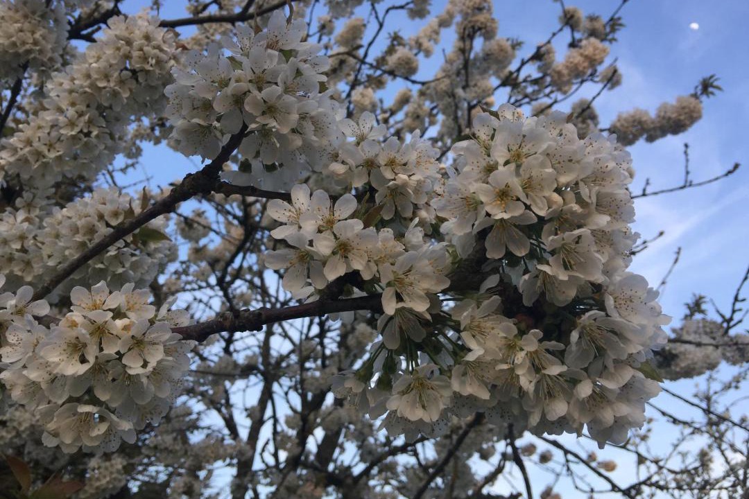 Photo of Outdoor in Balines