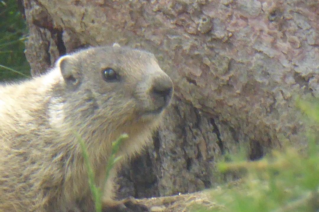 Photo of Outdoor in Allos