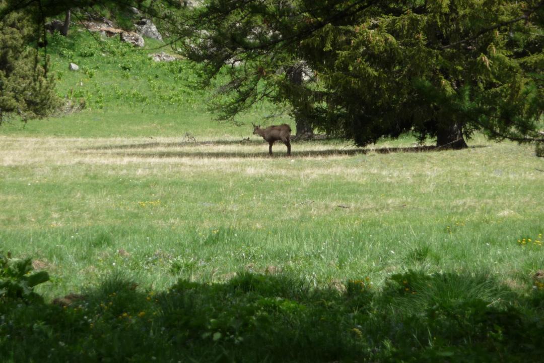 Photo of Outdoor in Allos