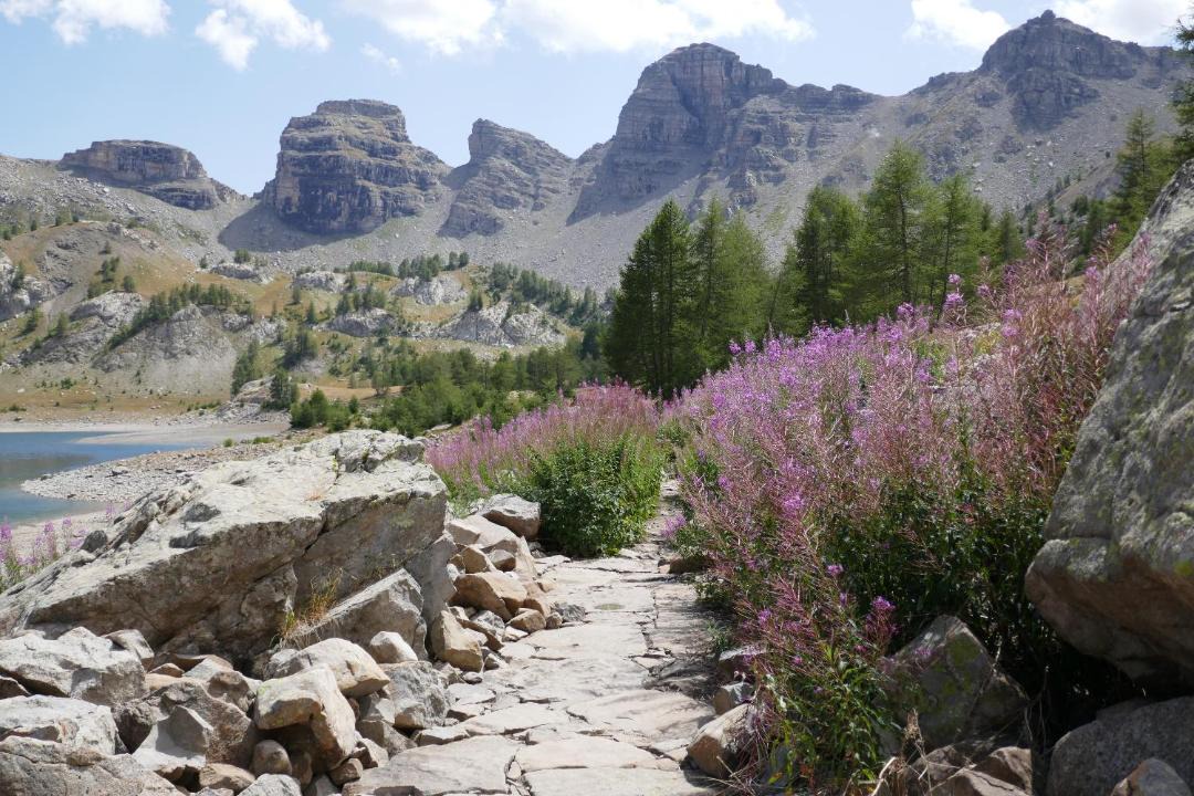 Photo of Outdoor in Allos