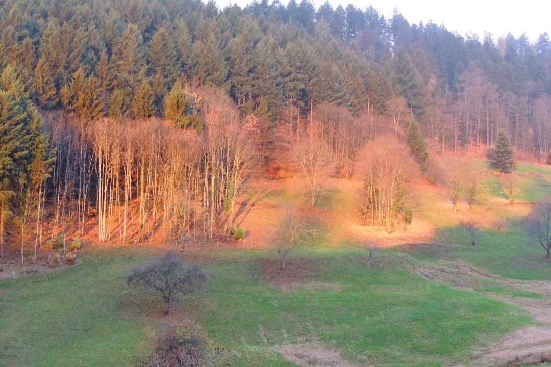 Photo of Others in Hohrod