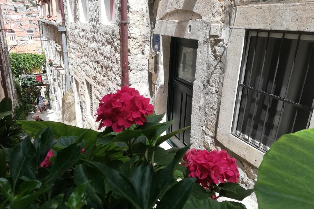 Photo of Others in Dubrovnik Old Town