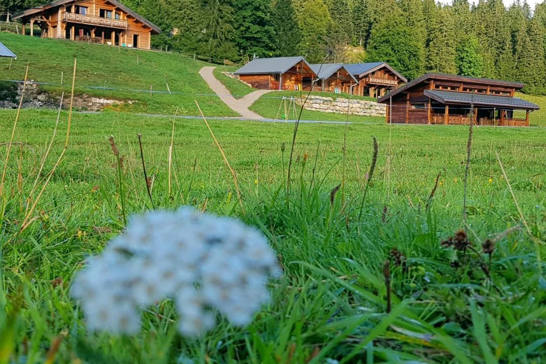 Photo of Others in Mouthe