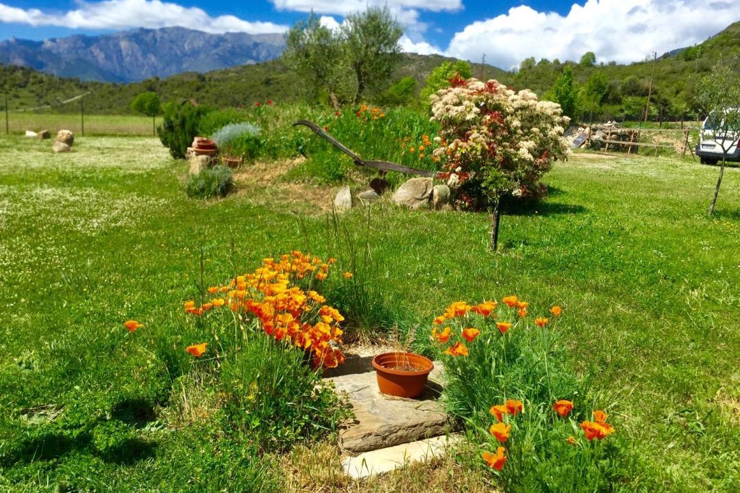 Photo of Others in Favalello