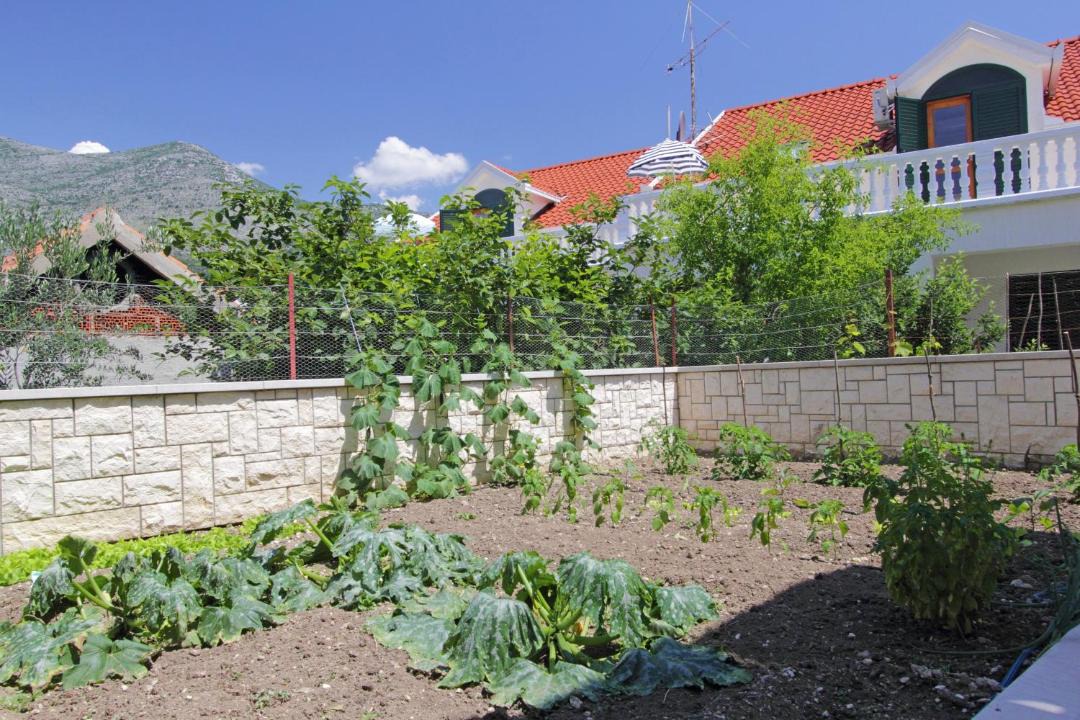 Photo of Others in Slano