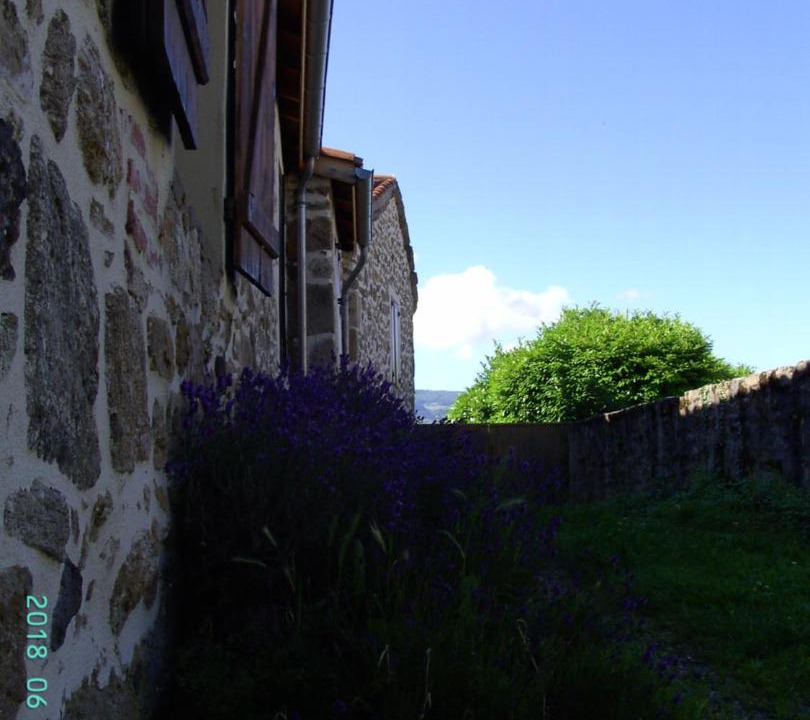 Photo of Others in Saint-Georges-en-Couzan