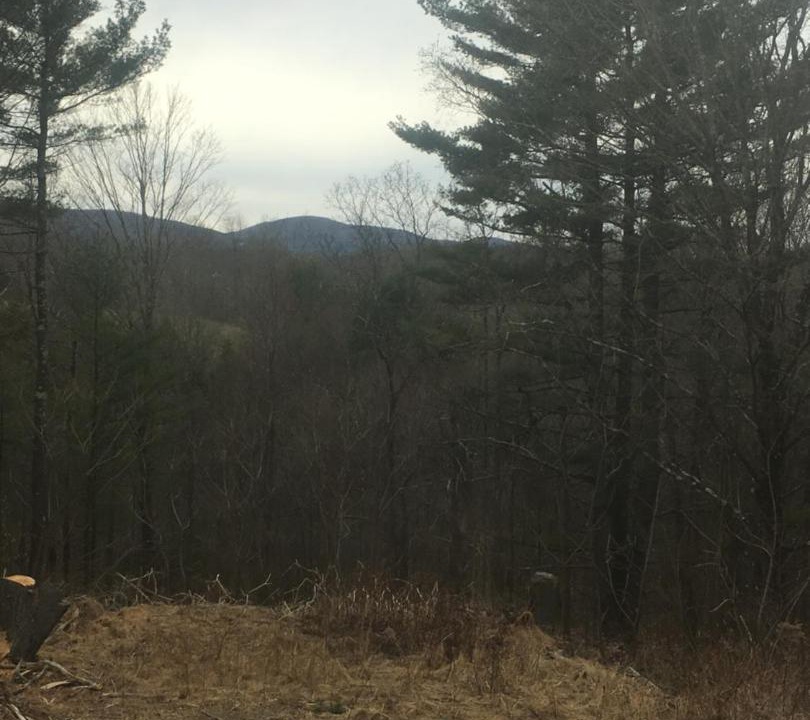 Photo of Others in East Durham