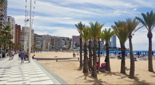 Photo of Others in Benidorm