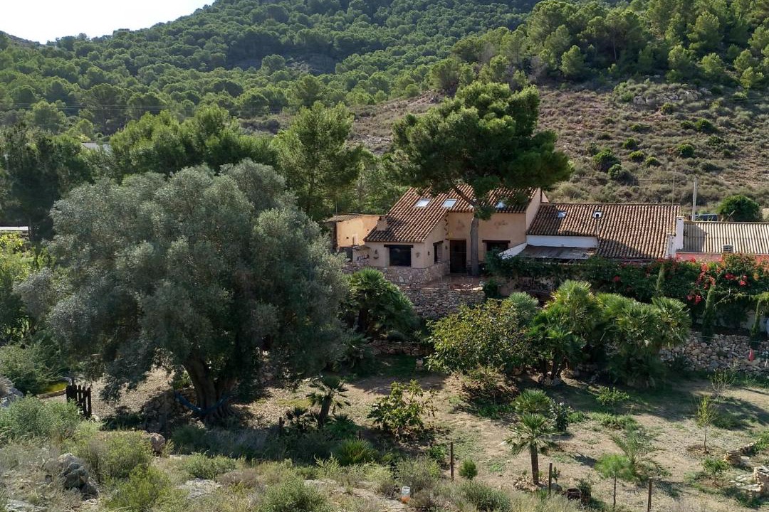 Photo of Others in Diputacion de Rincon de San Gines