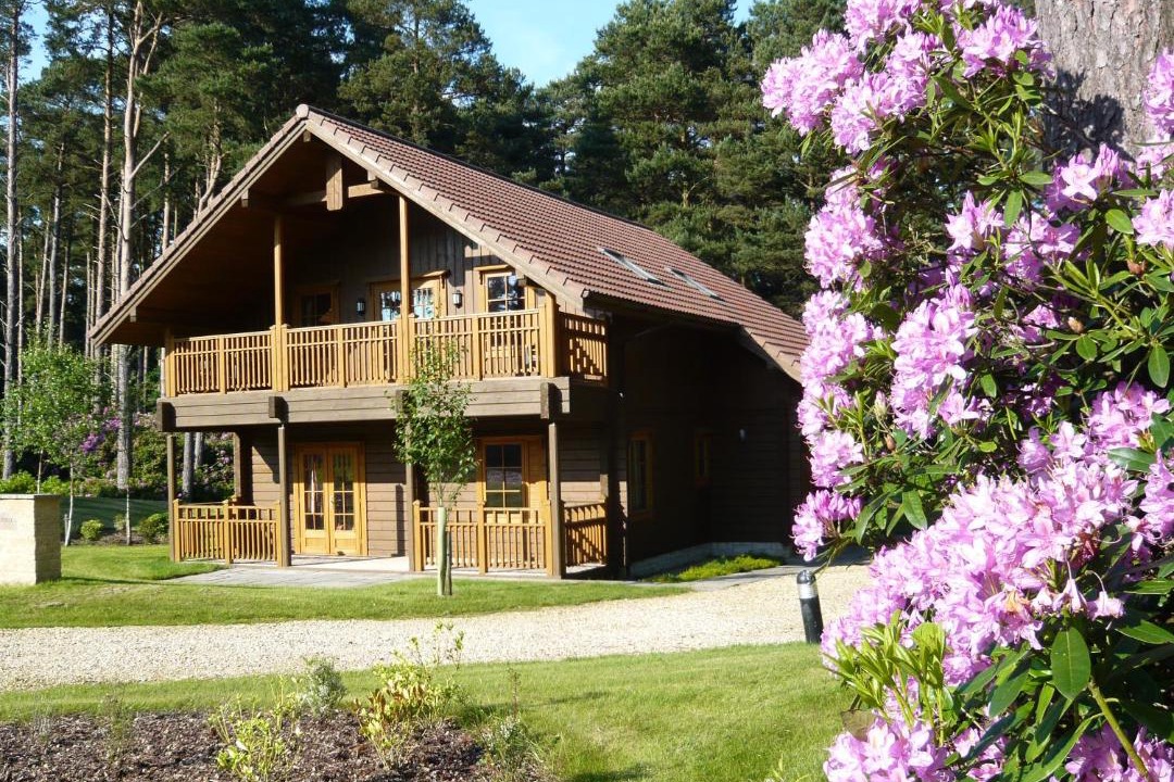 Photo of Others in Wareham