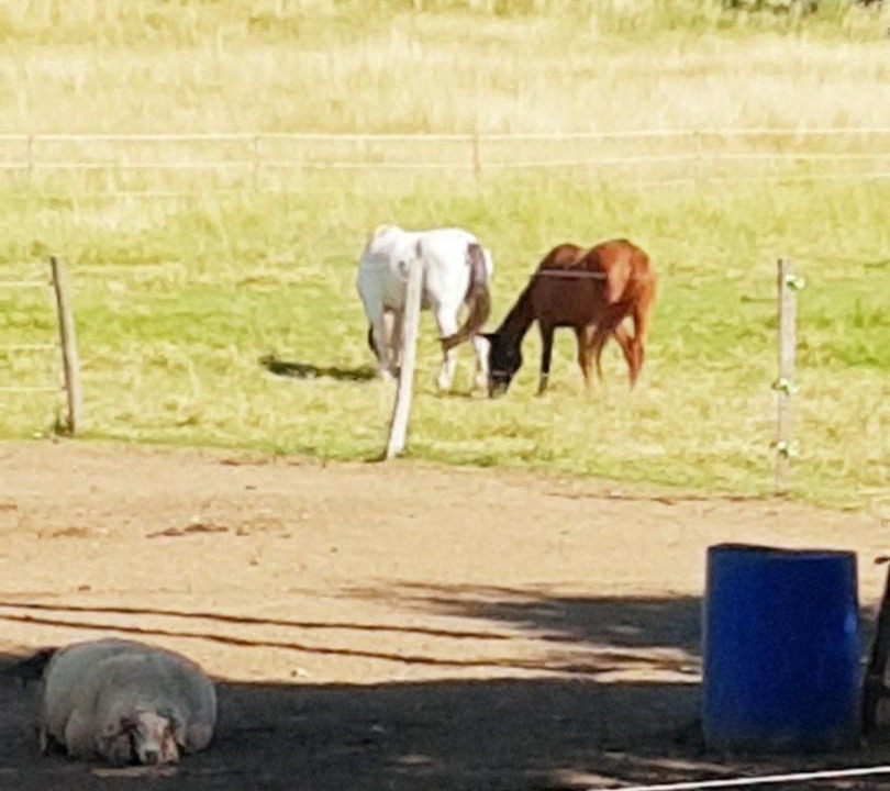 Photo of Others in Sault