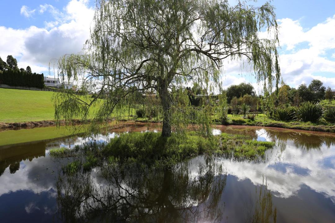 Photo of Others in Cambridge