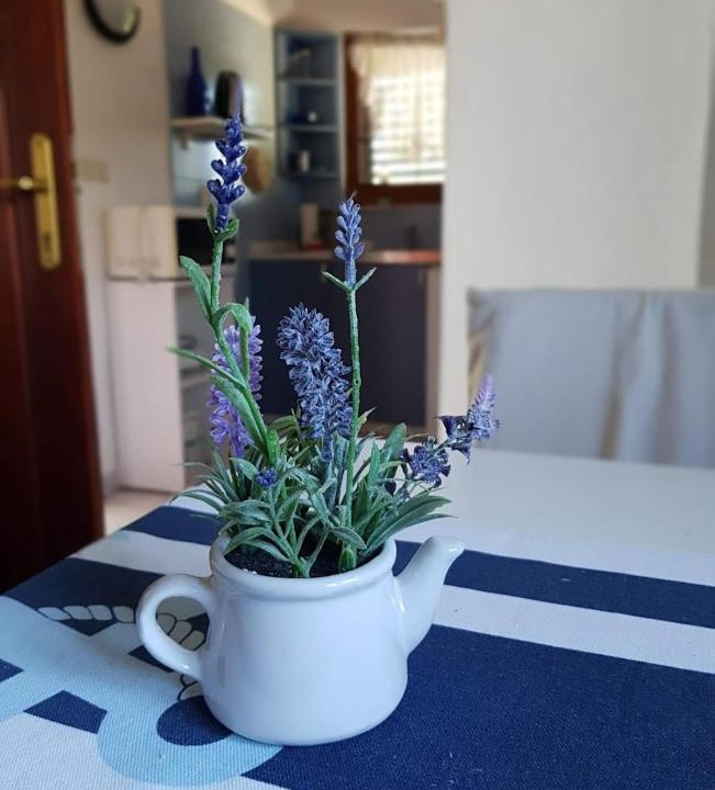 Photo of Others in Jadrtovac