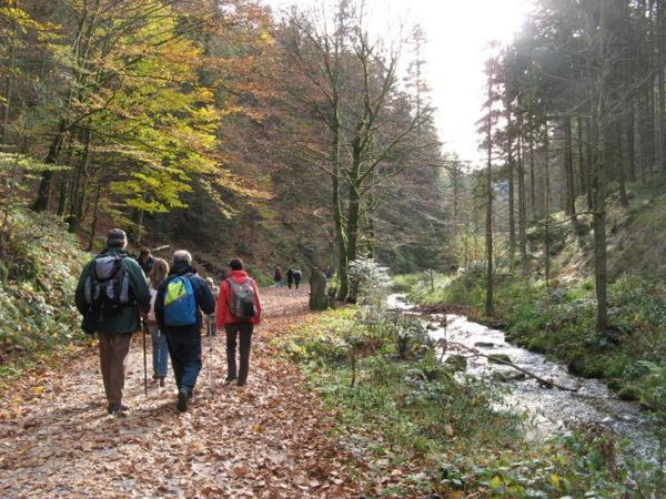 Photo of Others in Apremont