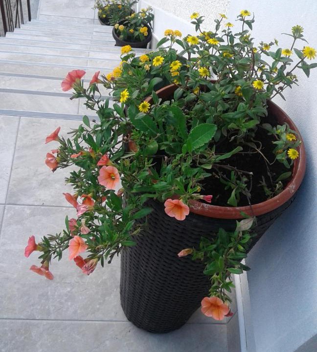 Photo of Patio Balcony in Otocac