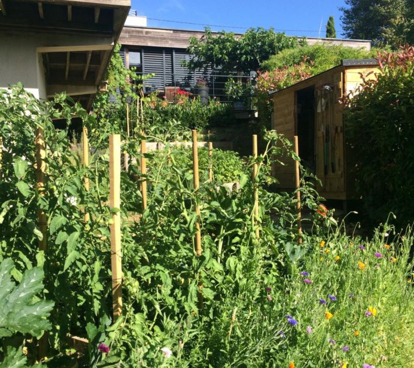 Photo of Others in Rochetaillee-sur-Saone