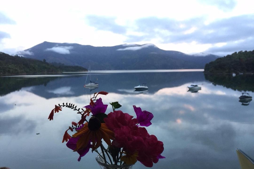 Photo of Others in Te Mahia