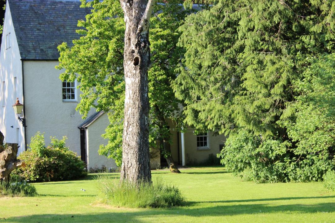 Photo of Others in Almondbank