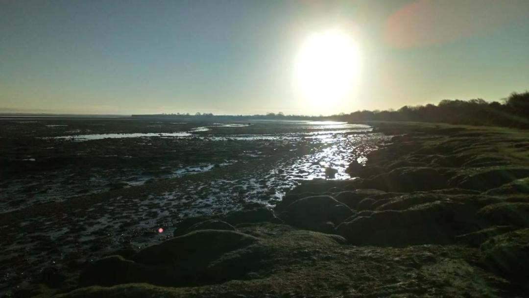 Photo of Others in Wigton